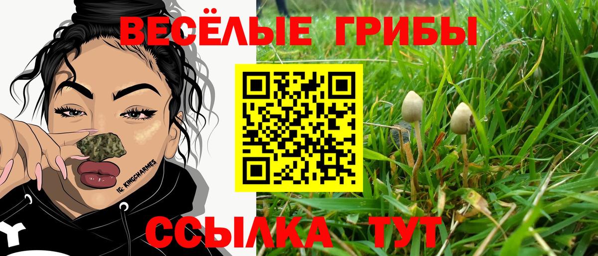 Псилоцибиновые грибы мицелий Феодосия