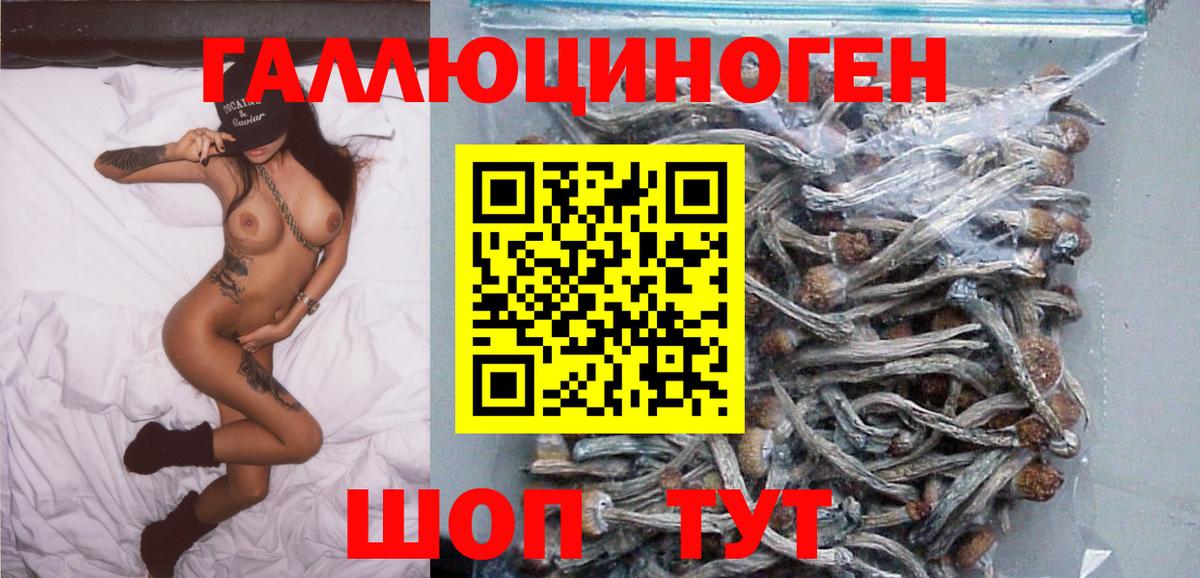 Галлюциногенные грибы Cubensis  Вход с VPN  Феодосия 
